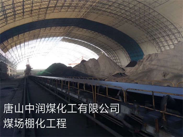 津南中润煤化工有限公司煤场棚化工程